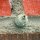 Potter wasp nest on brickwork