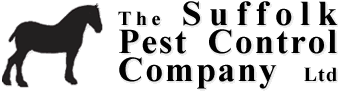 Suffolk Pest Control Company