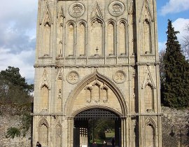 Pest Control in Bury St Edmunds