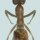 Argentine Ant