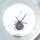 False widow spider